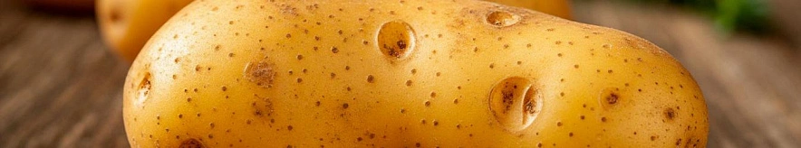 Фото: Шедеврум