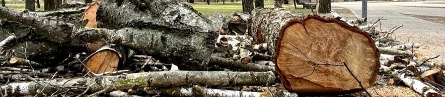 Фото: Анна Григор