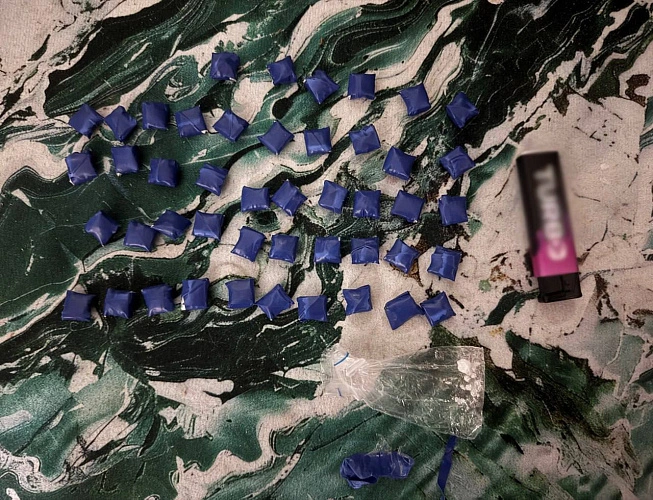 Фото: пресс-служба УМВД по Белгородской области