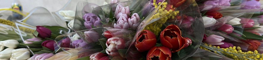 Фото: Вероника Максимова