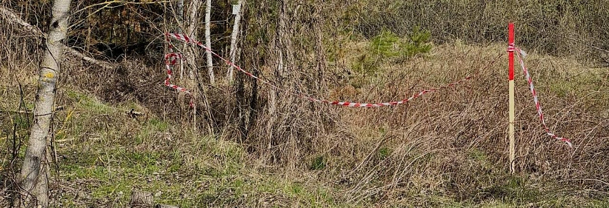 Фото: социальные сети Владимира Зотова