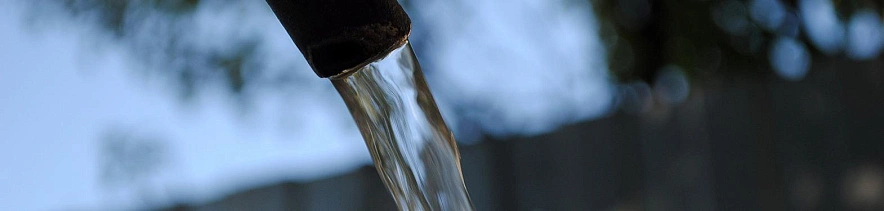 Фото: Сергей Егоров