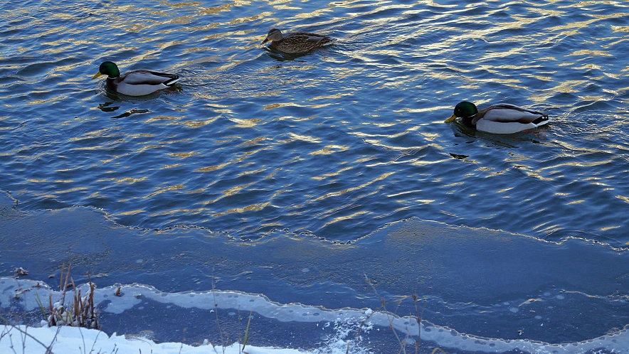 Фото: Дарья Егорова