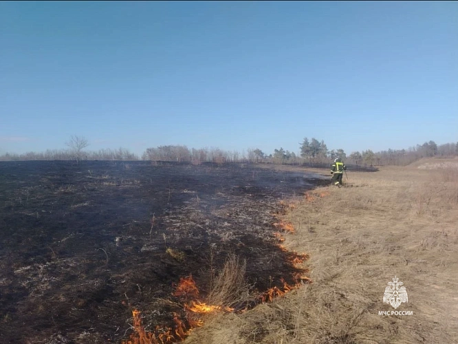 Фото: пресс-служба ГУ МЧС по Белгородской области