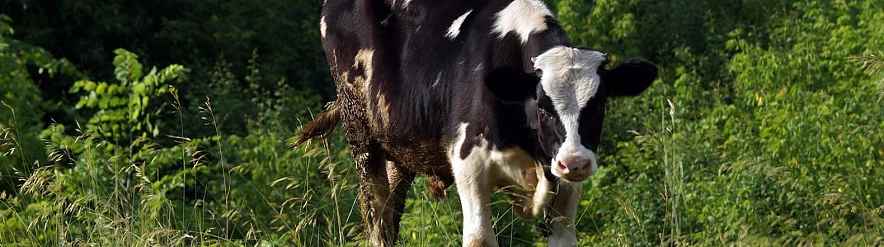 Фото: Сергей Егоров