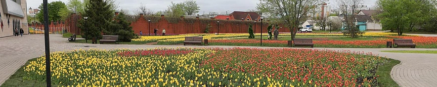 Фото: Антон Вергун