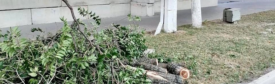 Фото: соцсети Валентина Демидова