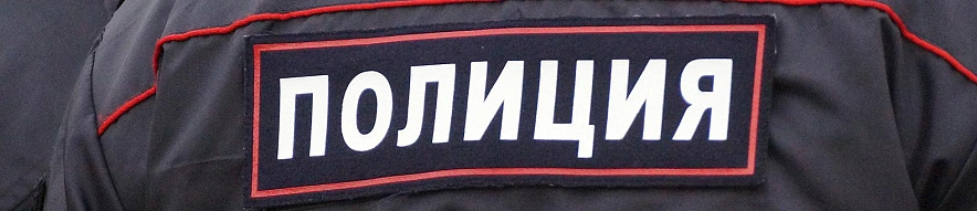 Фото: Сергей Егоров 