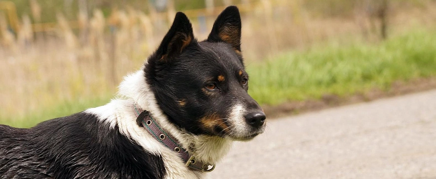 Фото: Сергей Егоров