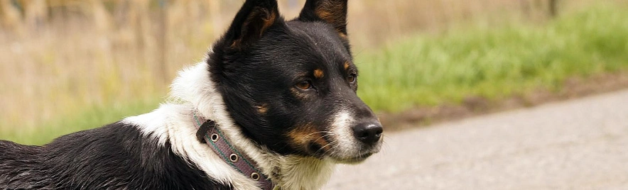 Фото: Сергей Егоров 