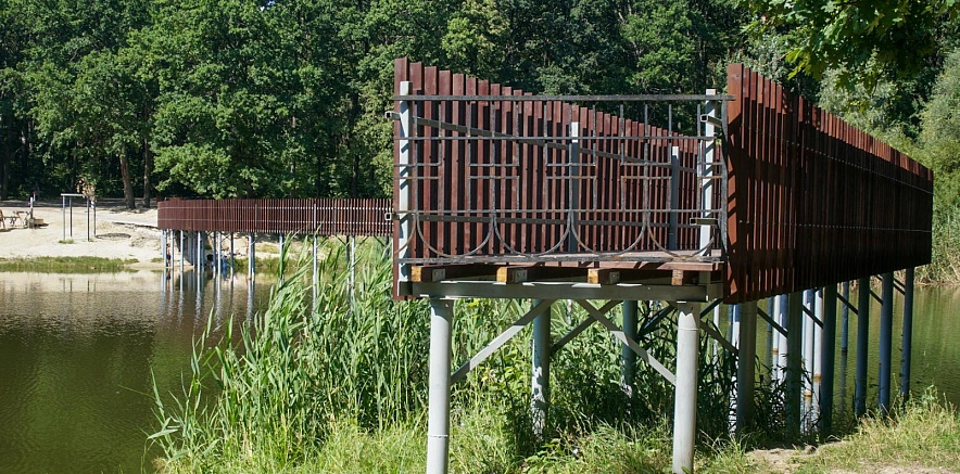 Фото: Милана Стёпина
