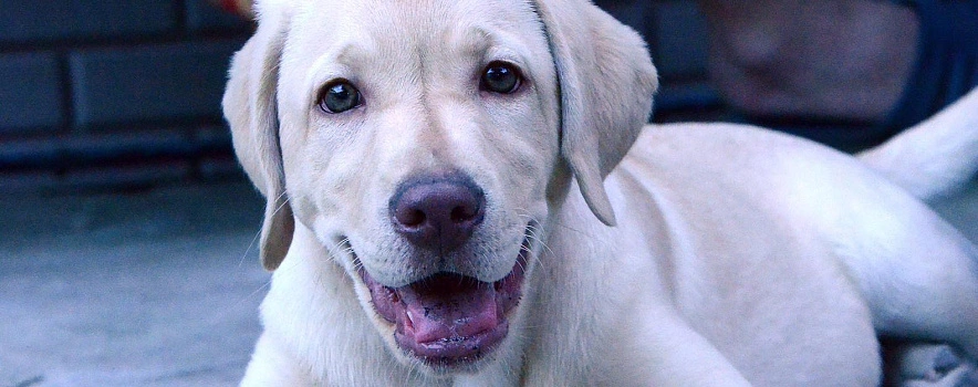 Фото: Сергей Егоров, архив