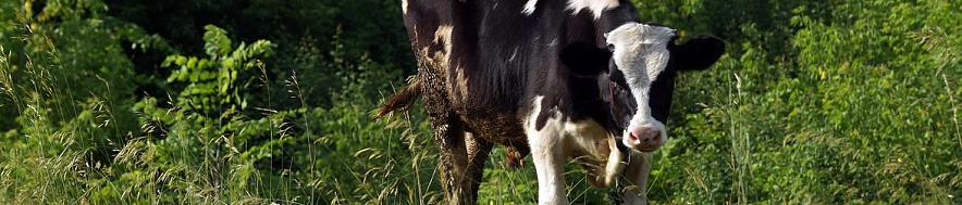 Фото: Сергей Егоров