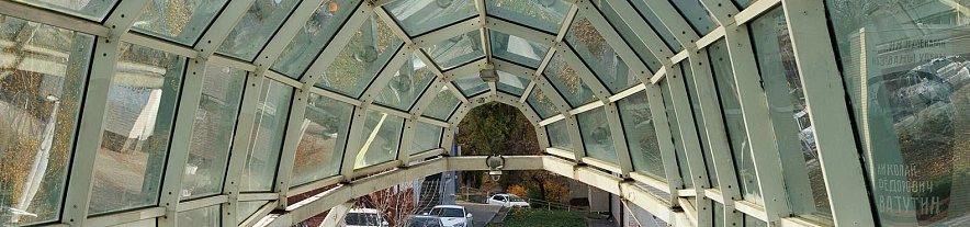 Фото: Антон Вергун