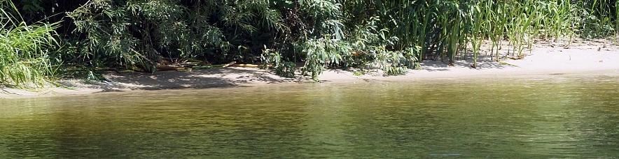 Фото: Сергей Егоров