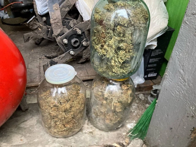 Фото: пресс-служба УМВД России по Белгородской области