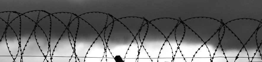 Фото: Сергей Егоров 