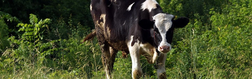 Фото: Сергей Егоров