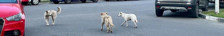 Фото: Анна Григор