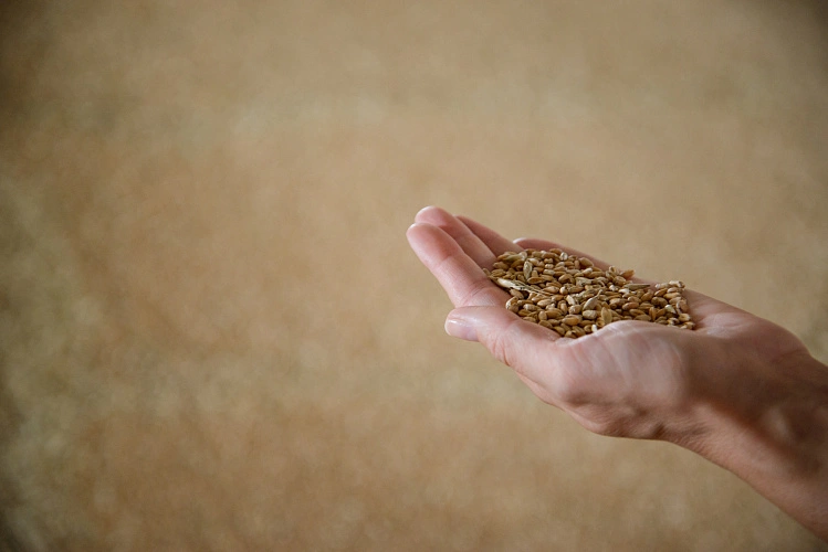 Фото: пресс-служба компании «Мираторг»