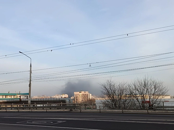 Фото: Дарья Егорова