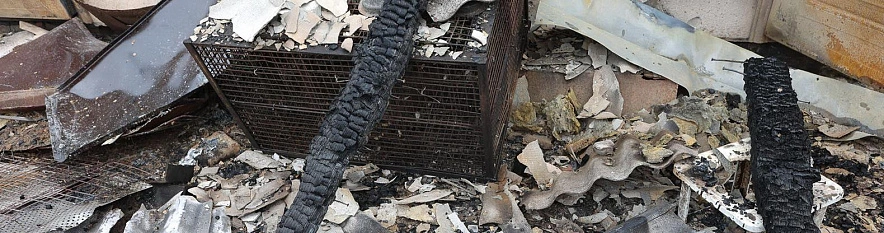 Фото: Антон Вергун