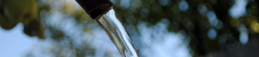 Фото: Сергей Егоров