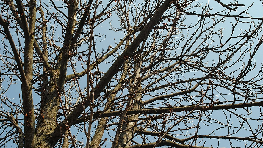 Фото: Сергей Егоров