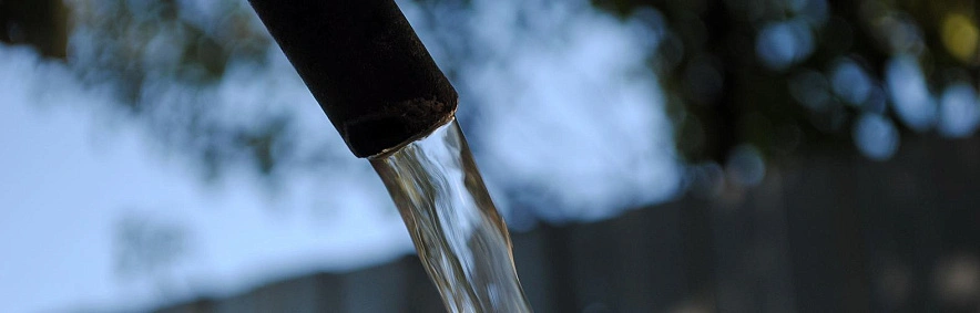 Фото: Сергей Егоров