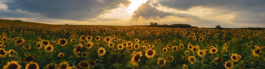 Фото: Юлия Мальцева