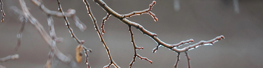 Фото: Антон Вергун