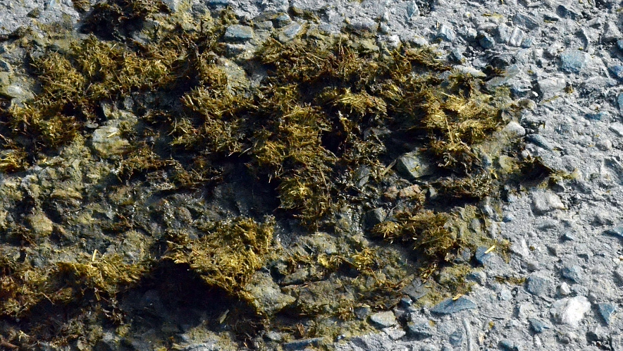 Фото: Сергей Егоров