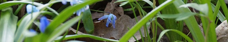 Фото: Сергей Егоров