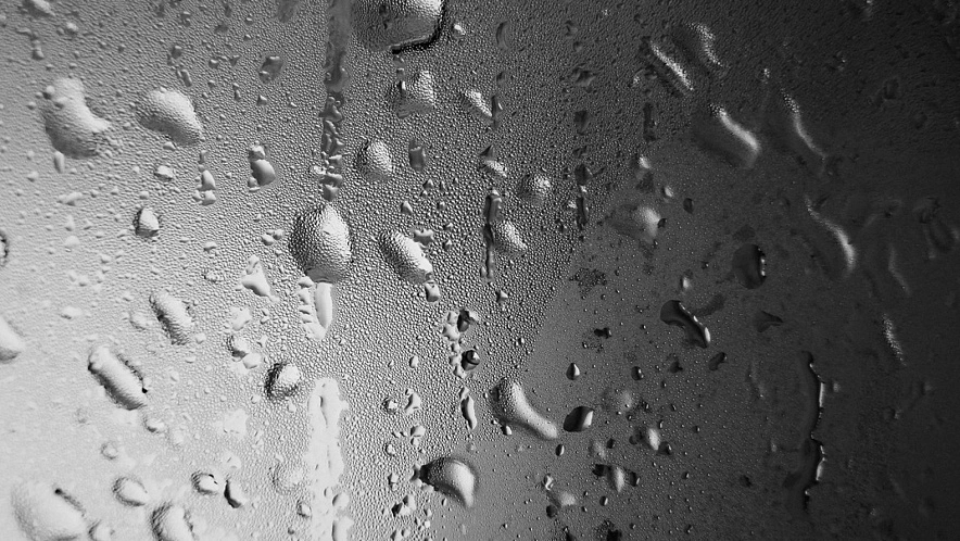 Фото: Сергей Егоров