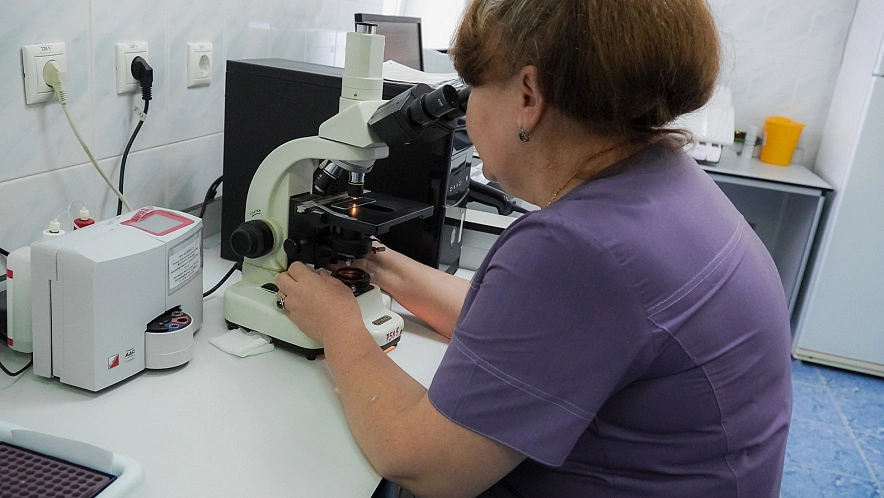 Фото: Антон Вергун