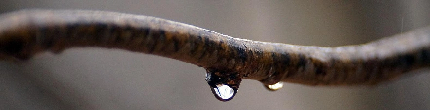 Фото: Сергей Егоров