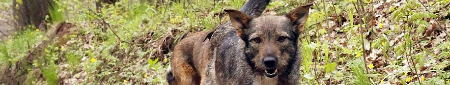 Фото: Сергей Егоров 