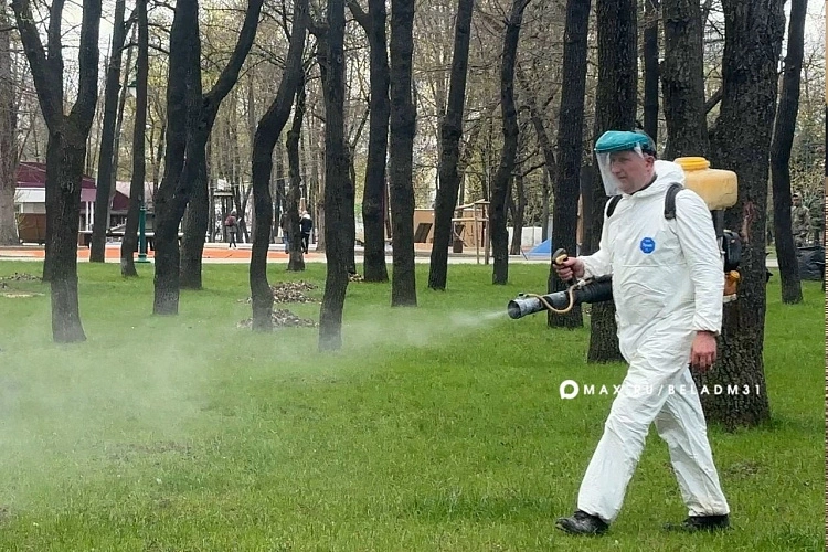 Фото: пресс-служба администрации Белгорода
