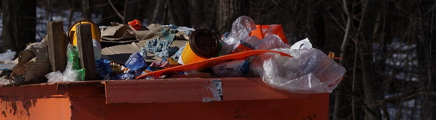 Фото: Сергей Егоров 