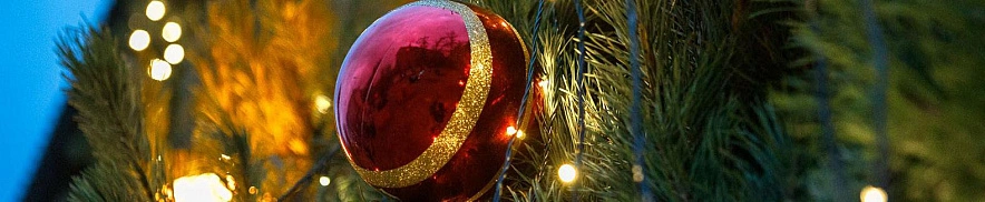 Фото: Антон Вергун