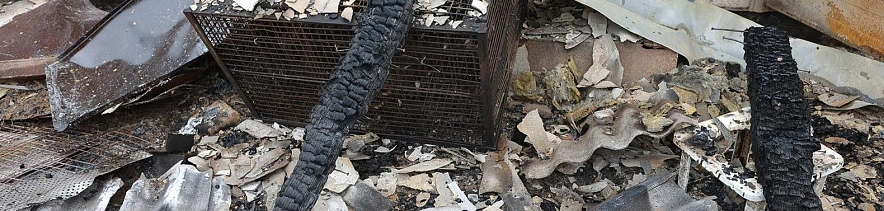 Фото: Антон Вергун