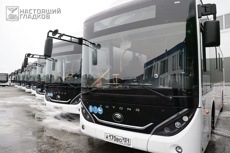 Фото: пресс-служба правительства Белгородской области