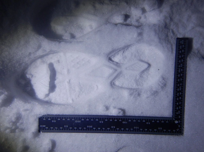 Фото: пресс-служба УМВД по Белгородской области