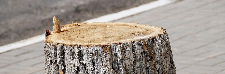 Фото: Сергей Егоров