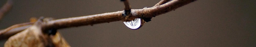 Фото: Сергей Егоров