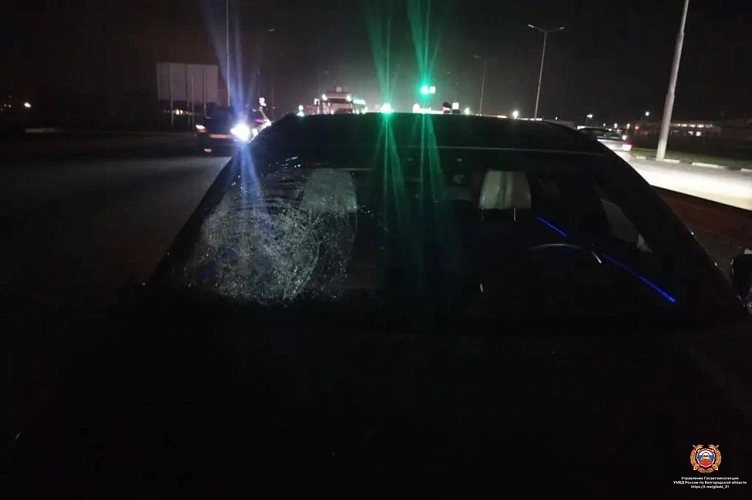 Фото: пресс-служба белгородского УМВД