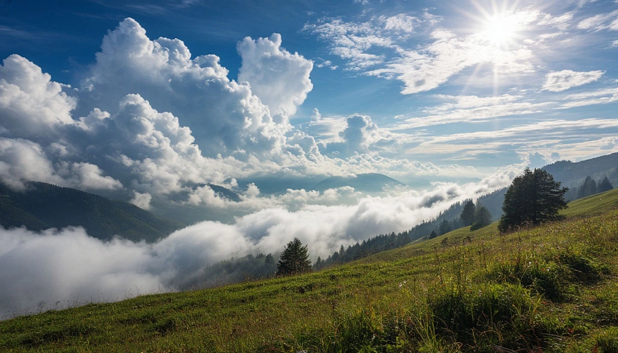 Фото: Шедеврум