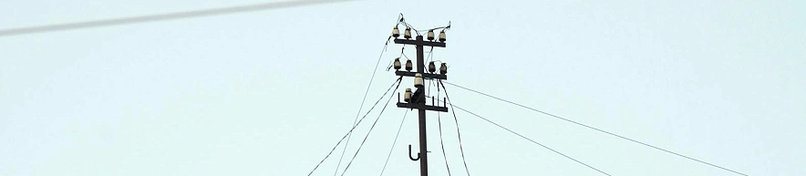 Фото: Сергей Егоров