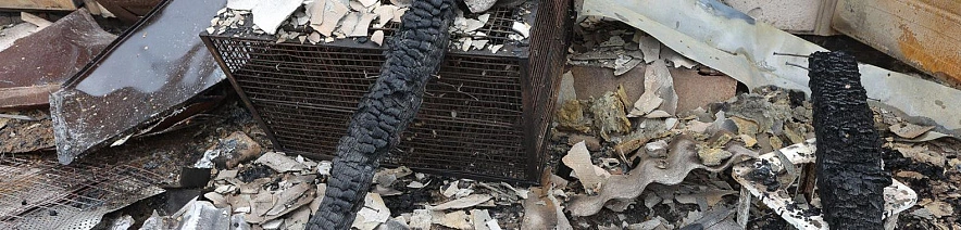 Фото: Антон Вергун