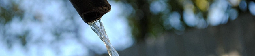 Фото: Сергей Егоров